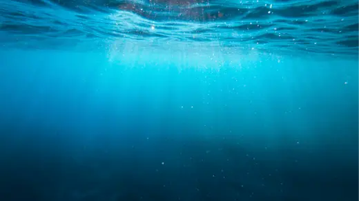 Prepare for the CSRD compliance deadline with a platform designed to meet your needs!