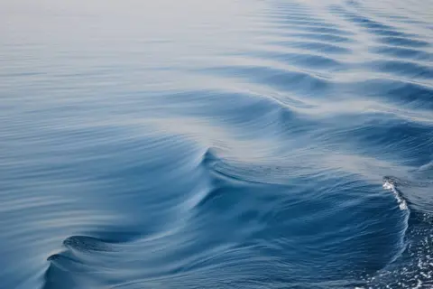 Science-Based Target initiative