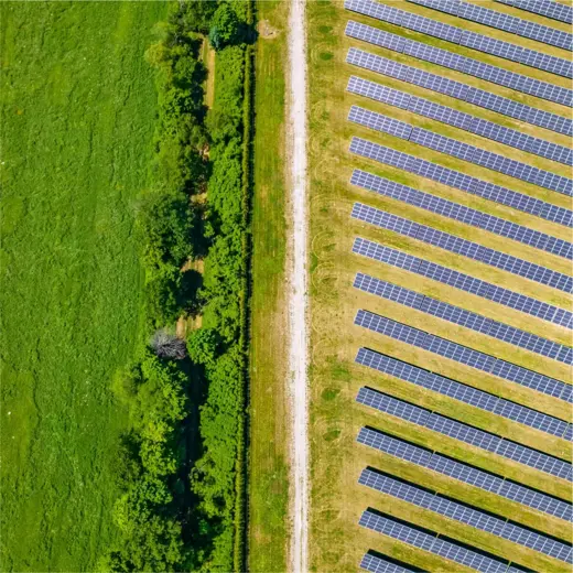 Foundation and Compliance image